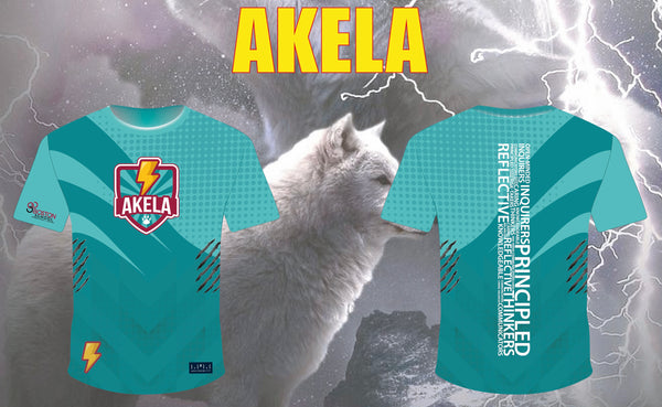 PRE ORDEN - BOSTON T-SHIRT HOUSE OF AKELA - WOMAN